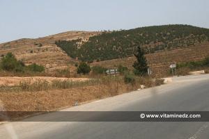 Village de Yembou, commune de Souahlia