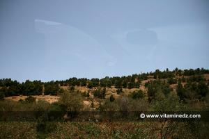 Les massifs des souahlias, théatres de combats où sont tombés des milliers de martyrs ...