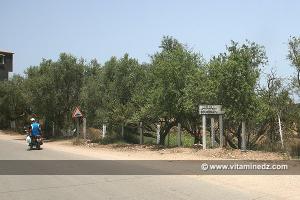 Sortie de Tounane, route vers Boukhnais