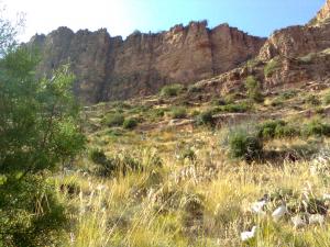 جبل صف العالي