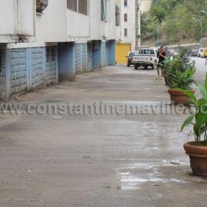 Toilettage au bâtiment  Picasso  à Constantine par ses enfants