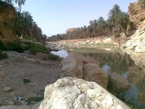 Gorge de M'chounéche