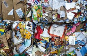 Alger - Recyclage écologique: Portes ouvertes à l’ambassade d’Autriche