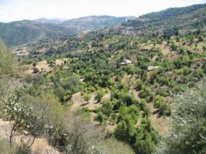 Lemroudj en automne 2012