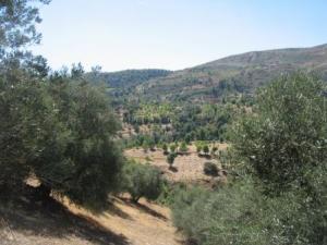 Krima en automne 2012