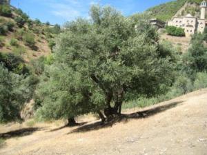 Krima en automne 2012