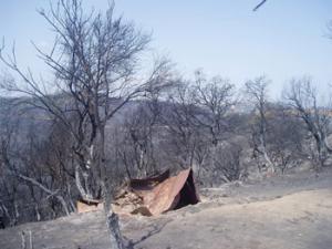 APW de Tizi Ouzou -  Journée d’information sur les incendies