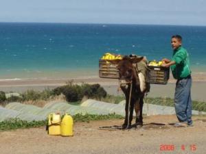 Tipasa -  La problématique de l’eau