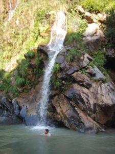 Parc national de Chréa -  L’affluence des touristes inquiète