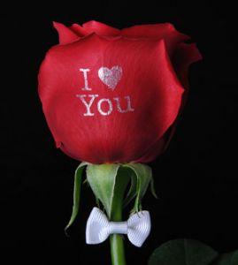 ya pas mieux que la verité