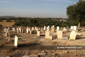 Petit cimetière au lieu Dit Ain Dehb, Mansourah