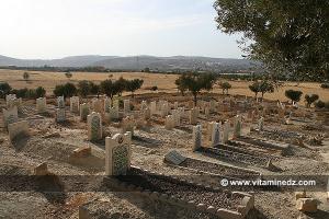 Petit cimetière au lieu Dit Ain Dheb, Mansourah