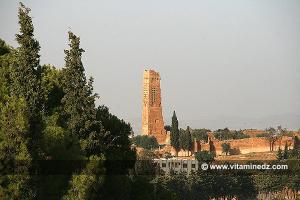 Minaret de Mansourah ...