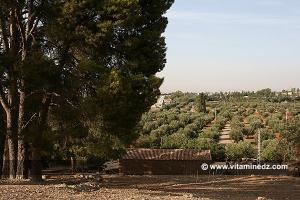 Petite ferme coloniale au lieu Dit Ain Dehb ou Fed Dheb, Mansourah