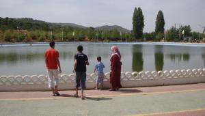 Le magnifique plateau.