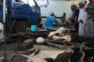 Guerisseur ventant les produits d\'autruche à la Waada de Sidi Khelifa, El Khaiter wilaya d\'El Bayadh