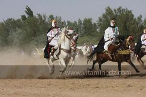 Waada de Sidi Khelifa, El Khaiter wilaya d\'El Bayadh
