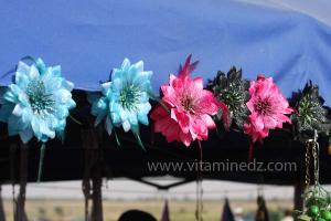 Waada de Sidi Khelifa, El Khaiter wilaya d\'El Bayadh