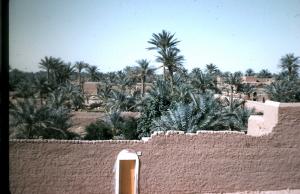 ADRAR VUE SUR LA VILLE