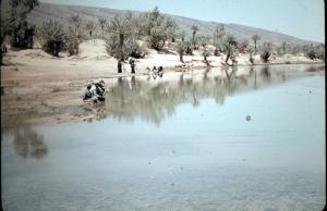 KERZAZ OUED SAOURA MULTI SERVICE