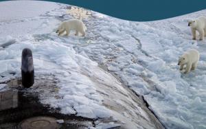 ARCTIQUE - RISQUE DE CONFLITS:  La guerre de territoire a déjà commencé.