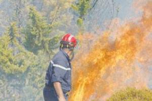 Dégâts des incendies: le P/APW de Tizi Ouzou interpelle le ministre de l’agriculture
