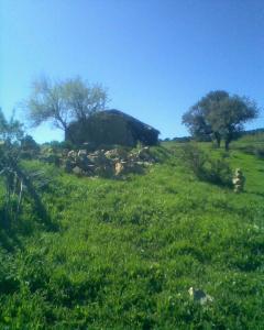 djebel agdi TAOUZIENT