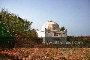 Mausolé de Sidi Mohamed Bouterfassa, Région de Bider, Msirda