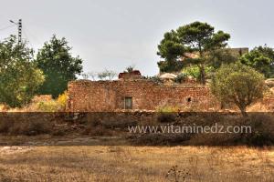 Vieille habitation du coté de Bider, Région de Msirda Fouaka