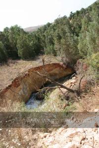 Région de Msirda riche en atoûts culturels et touristiques