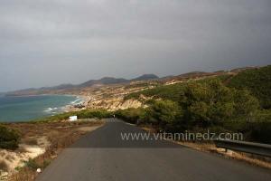 Foret de Bider, Région de Msirda riche en atoûts culturels et touristiques