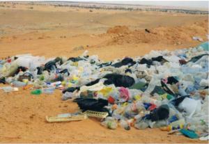 les photos de mon entreprise de ramassage de produits plastiques