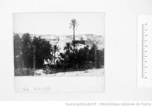 marabout de ferkane en 1892 (sidi ali noublie)