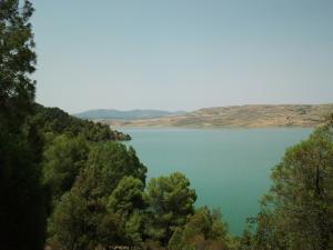 يوم من الحياة