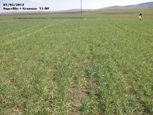 fertilisation cultures bio