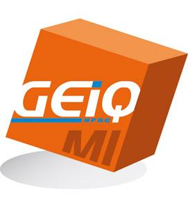 GEIQ