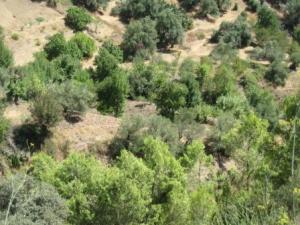 Krima en automne 2012