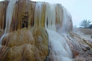 GUELMA - LA PROTECTION DE L'ENVIRONNEMENT A L'ORDRE DU JOUR