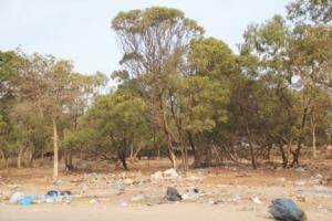 Oran - Forêt de Canastel: Mobilisation pour la préservation du site