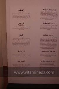 Exposition à Tlemcen  manuscrits scientifiques du Maghreb ; L’âge d’or des sciences arabes ; Sur les traces des Andalous