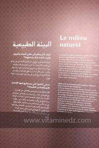 Exposition à Tlemcen  manuscrits scientifiques du Maghreb ; L’âge d’or des sciences arabes ; Sur les traces des Andalous
