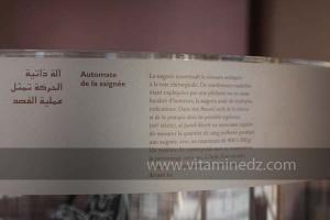 Exposition à Tlemcen  manuscrits scientifiques du Maghreb ; L’âge d’or des sciences arabes ; Sur les traces des Andalous