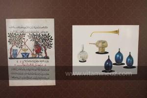 Exposition à Tlemcen  manuscrits scientifiques du Maghreb ; L’âge d’or des sciences arabes ; Sur les traces des Andalous