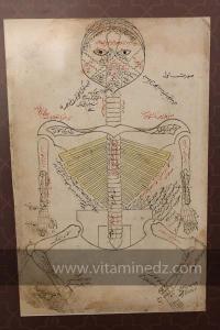 Exposition à Tlemcen  manuscrits scientifiques du Maghreb ; L’âge d’or des sciences arabes ; Sur les traces des Andalous