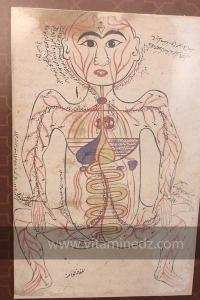 Exposition à Tlemcen  manuscrits scientifiques du Maghreb ; L’âge d’or des sciences arabes ; Sur les traces des Andalous