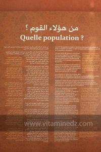 Exposition à Tlemcen  manuscrits scientifiques du Maghreb ; L’âge d’or des sciences arabes ; Sur les traces des Andalous