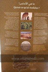 Exposition à Tlemcen  manuscrits scientifiques du Maghreb ; L’âge d’or des sciences arabes ; Sur les traces des Andalous