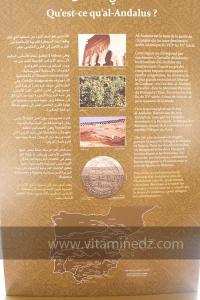 Exposition à Tlemcen  manuscrits scientifiques du Maghreb ; L’âge d’or des sciences arabes ; Sur les traces des Andalous