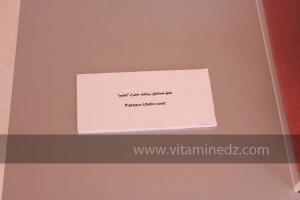 Exposition à Tlemcen  manuscrits scientifiques du Maghreb ; L’âge d’or des sciences arabes ; Sur les traces des Andalous