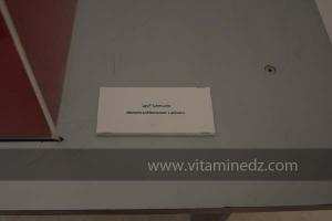 Exposition à Tlemcen  manuscrits scientifiques du Maghreb ; L’âge d’or des sciences arabes ; Sur les traces des Andalous